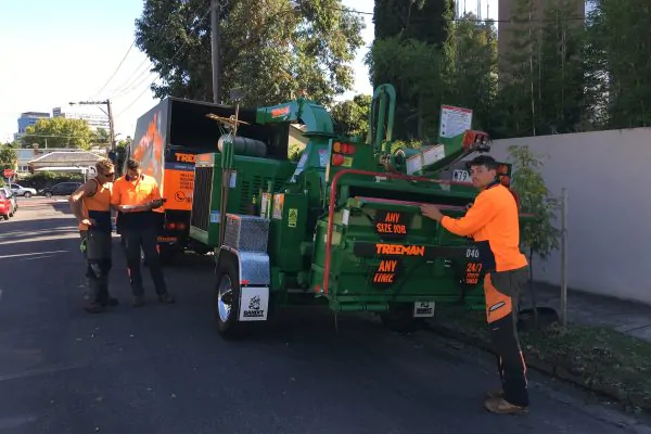 Photo | Tree trimming along Miramar Drive - Santa Cruz Sentinel