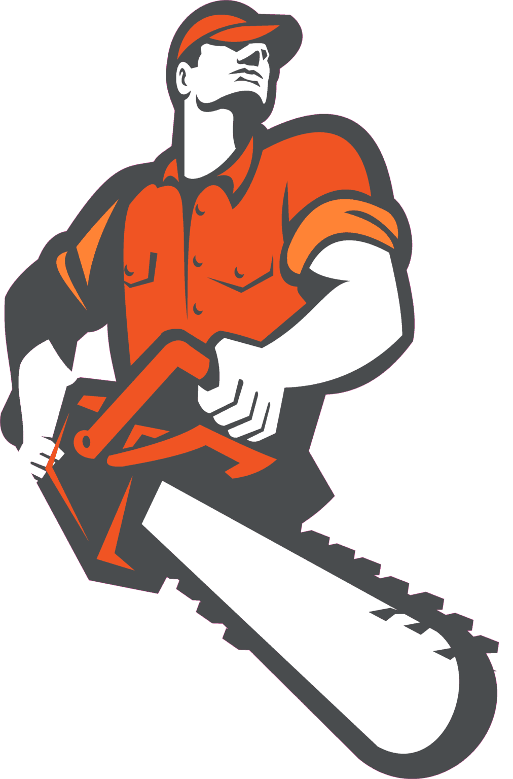 Stump Removal Malvern Tree Services Near Me Melbourne