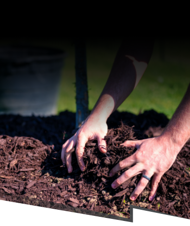 MOBILE HOMEPAGE TREEMAN – Aged Mulch – 1