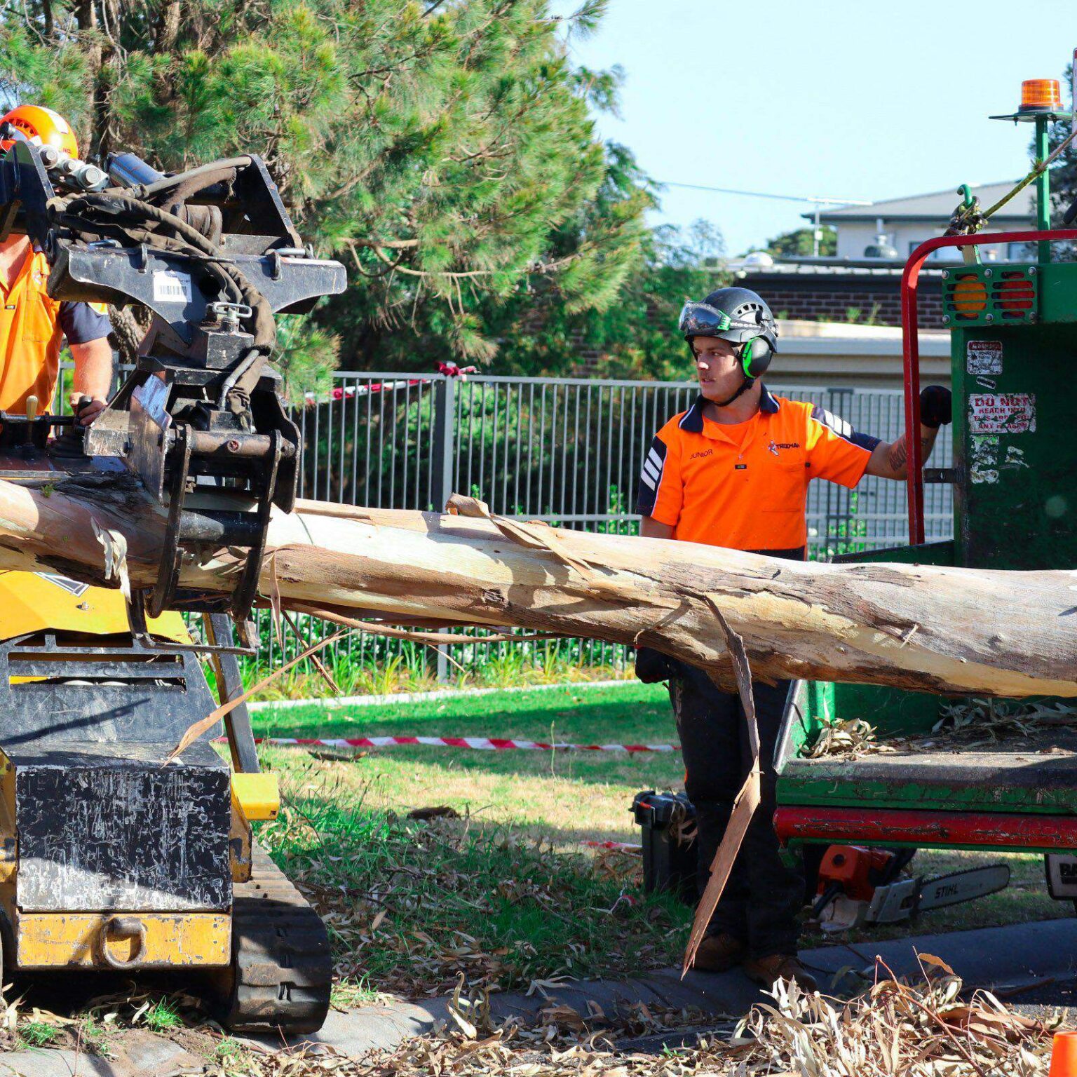 Tree Removal Melbourne | Stump Removal | Stump Removal Mornington Peninsula