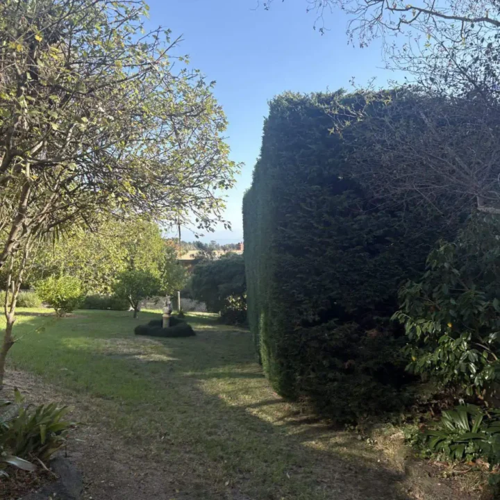 Tree Removal Dromana