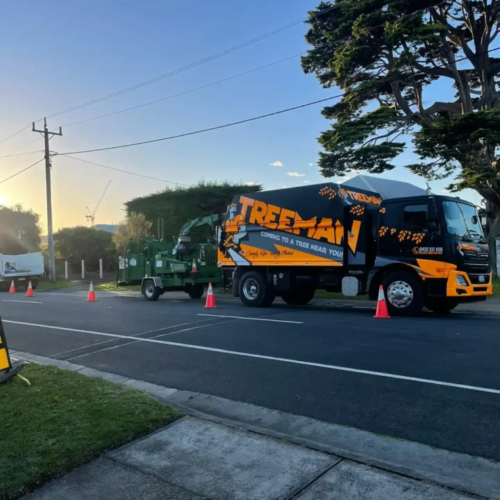 Tree Removal Mornington Peninsula