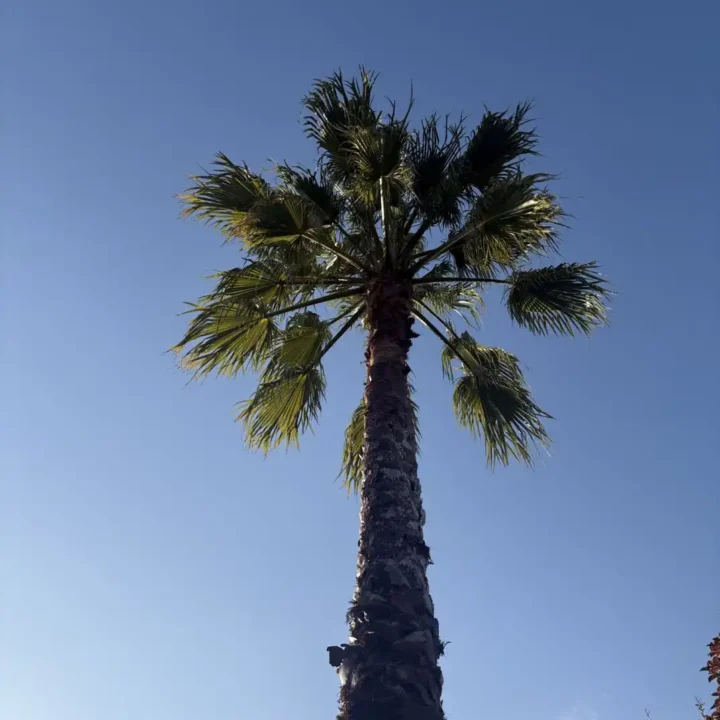 Photo (1)