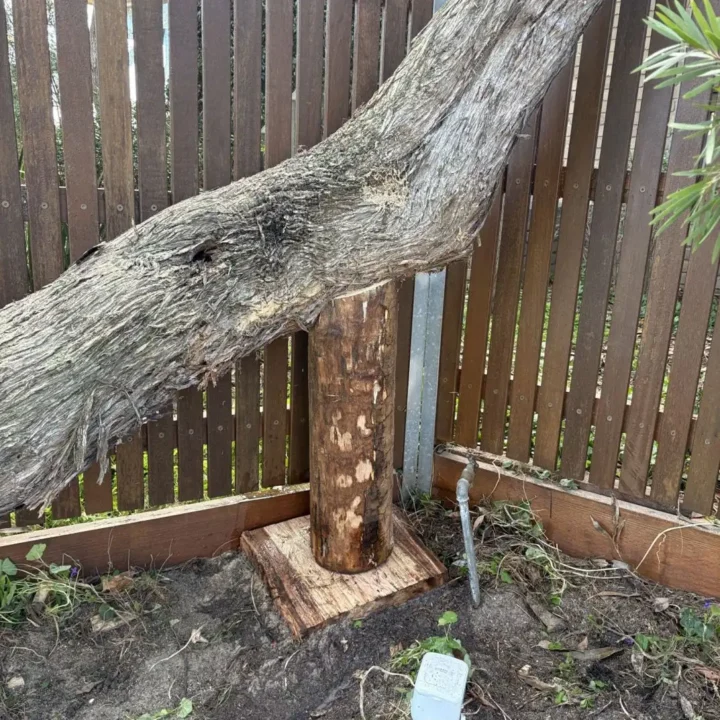Tree prop - minimise fence impact