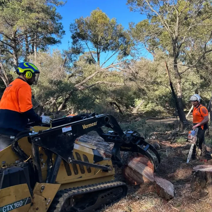 Tree Removal Mornington Peninsula