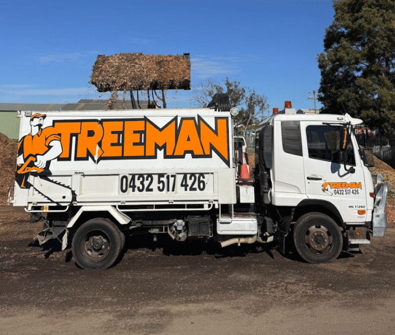 Give your garden the best defence against the summer heat and elevate its health with Treeman Melbourne’s premium mulch. Learn how to choose the right type for every corner of your outdoor space.